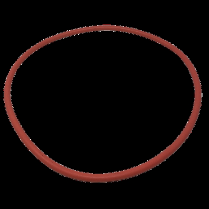 Pentair Water Pool & Spa 356173Z Seal Plate O-Ring