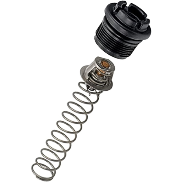 SW-41-010 Mastertemp Max-E-Therm Style Thermal Regulator Kit
