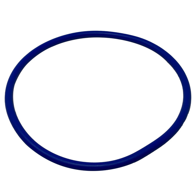 Pentair Water Pool & Spa 356189Z Lid O-Ring for Pool