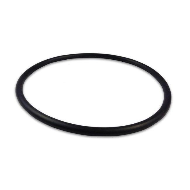 Pentair Water Pool & Spa 356148Z 1.5HP Pump Seal Plate O-Ring