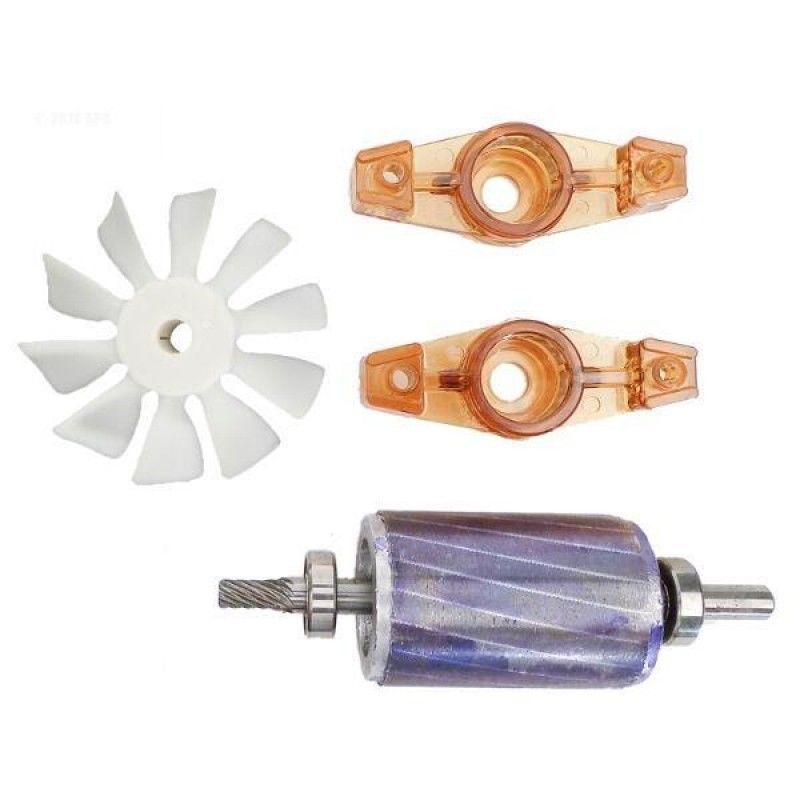 Rotor Assembly with Bearings