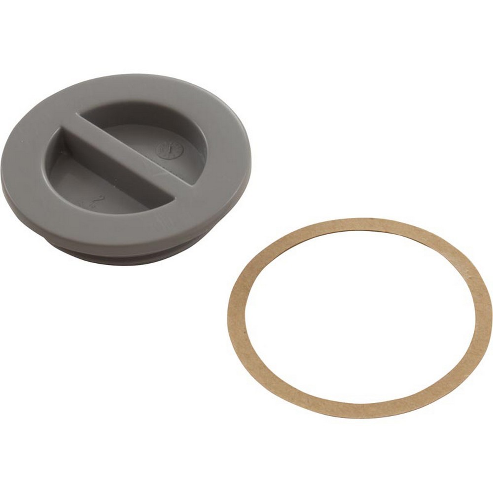 25542-001-000 MIP Flat Pool Plug with Gasket, Gray