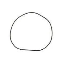 805-0460B Bagged Lid O Ring for ClearWater II Cartridge & D.E. Filter