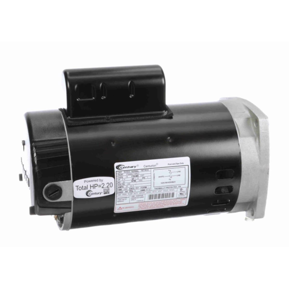 B2855 230V 2HP ODP Rated Square Flange Single Phase Pool Motor -  Regal Beloit