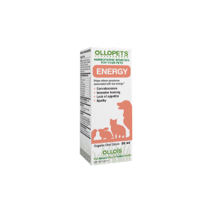 Picture of Ollois 67393 1 oz Ollopets Energy