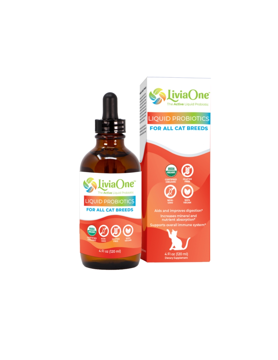 767703 4 oz BioLifePet Liquid Probiotics Supplement for Dogs