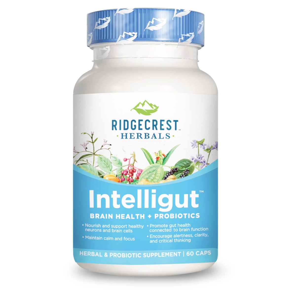 Picture of Ridgecrest Herbals 140570 IntelliGut Brain Health & Probiotics - 60 Capsules