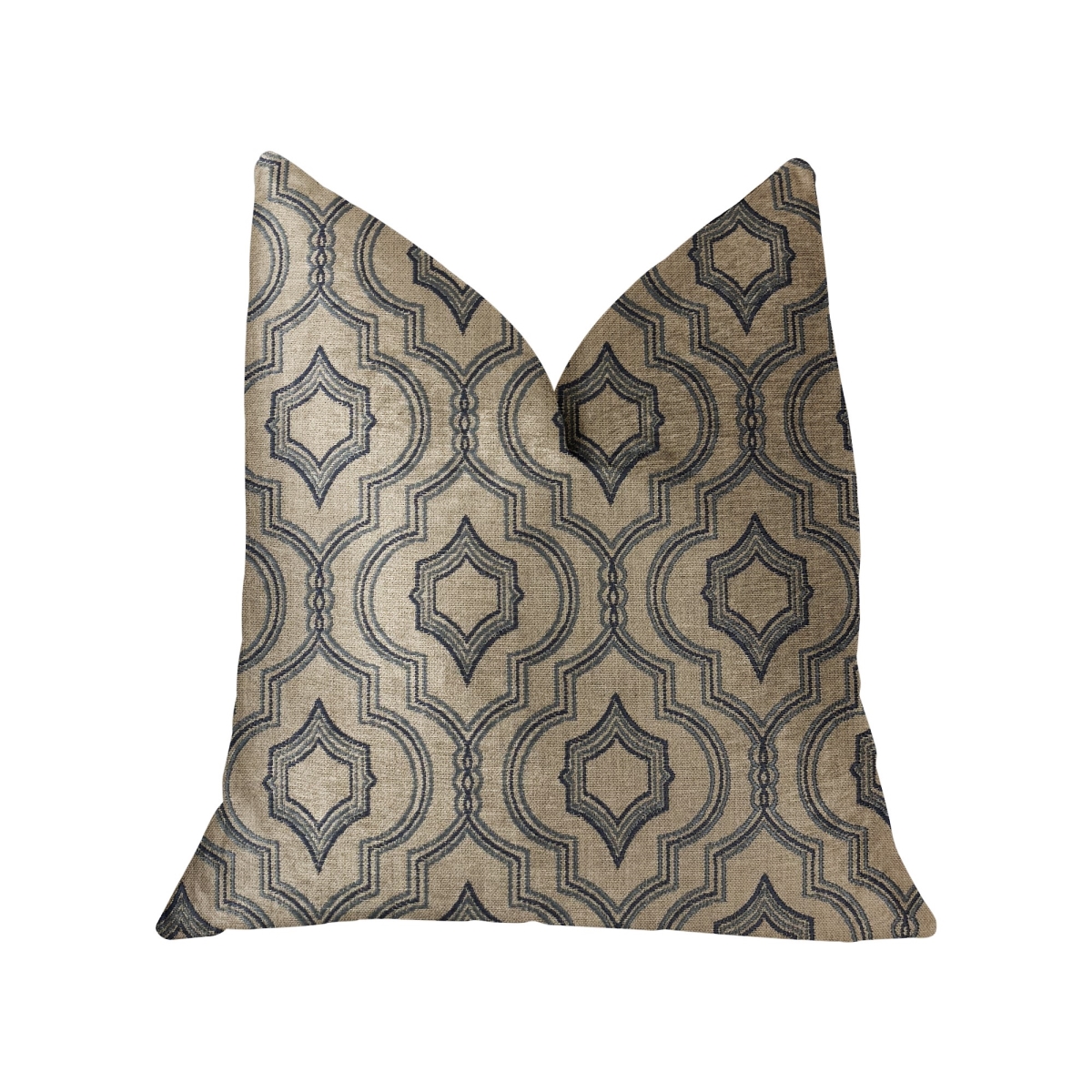 PBRA2247-2020-DP Anise Black & Beige Luxury Throw Pillow, 20 x 20 in.