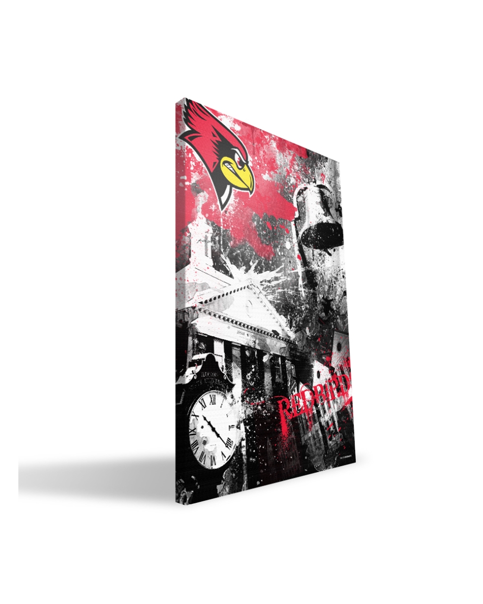 Illinois State Spirit 24x36 Canvas