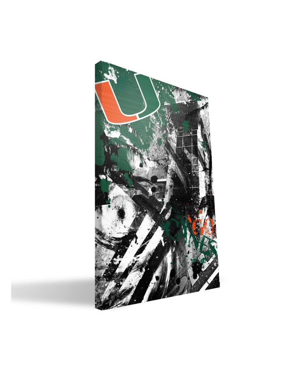 Miami Spirit Canvas, 24 x 36 in.