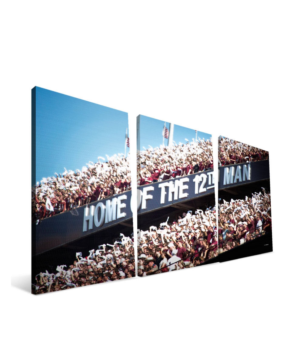 Texas A&M 16x36 Kyle Field Canvas
