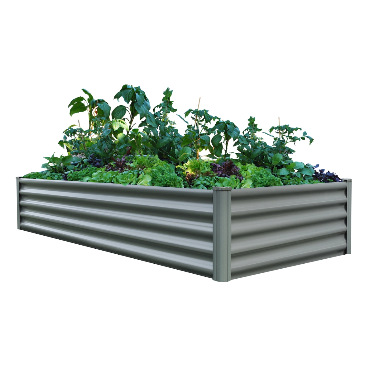 6 x 3 ft. WG Garden Bed