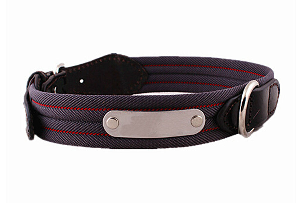 Picture of Panda Superstore PS-PET3052411011-ALAN01806 23-30 cm Fashion Nylon Webbing & Leather Dog Collar