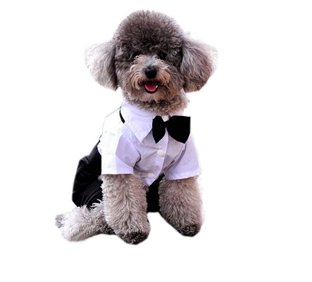 Picture of Panda Superstore PS-PET2975313011-YOUNG00893 Comfy Gentle Suit Puppy Clothes Dogs Apparel - Including Bow-Tie - Medium