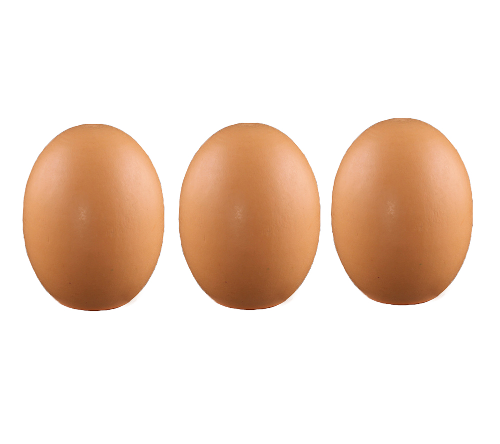 Wooden Blank Easter Eggs Kids Children DIY Creative Paintable Decoration - 12 Piece