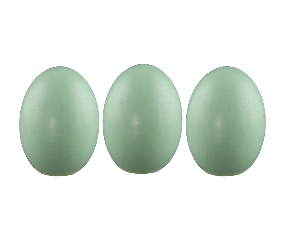 Wooden Blank Easter Eggs Kids Children DIY Creative Paintable Decoration, Green - 12 Piece