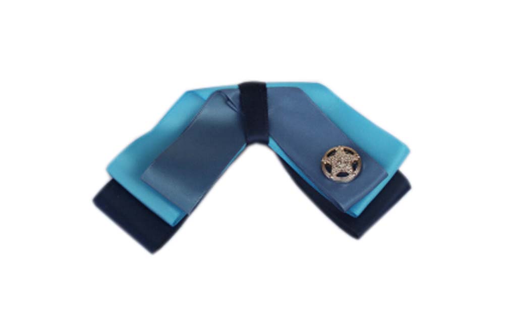 Picture of Panda Superstore PS-CLO2474955011-YAN00459 Womens Formal Wear Professional Neckties - Star Buckle & Light Blue