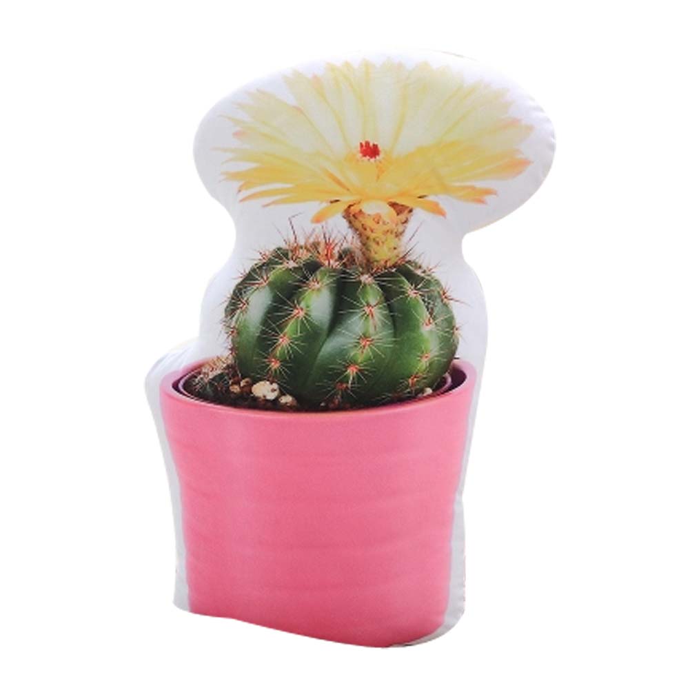 Creative Cushion Birthday Gift Sleeping Simulation Cactus Plants Pillow