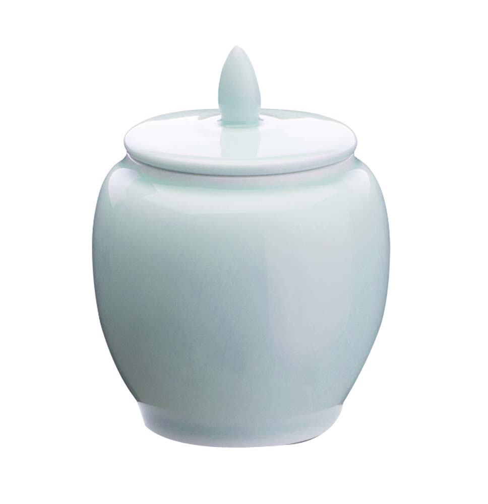 Picture of Panda Superstore KS-HOM3744111-ALAN00569 Portable Ceramic Tea Tin Seal Pot Tea Storage Container, Light Blue