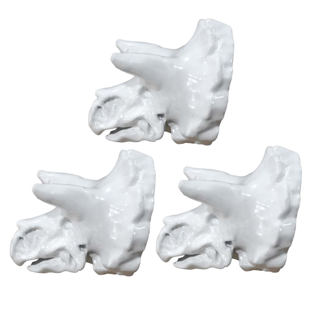 Picture of Panda Superstore PE-HOMKNOBDN-WHTTS-DORIS 1.6 x 1.6 x 1.7 in. Simulation Dinosaur Drawer Knobs Resin Triceratops Closet Pulls&#44; White - 3 Piece