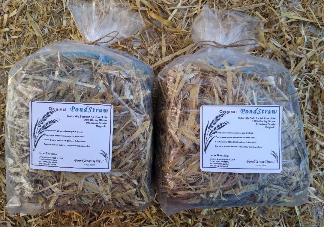 ORGANIC Barley Straw 2 - 8oz bales treat 2000 gallons