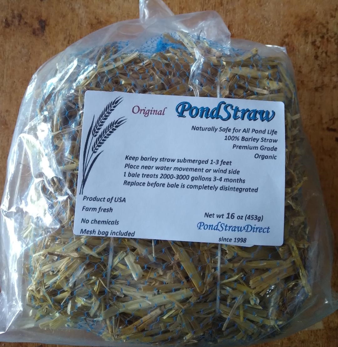 ORGANIC Barley Straw 16oz bale treats 2000 gallons