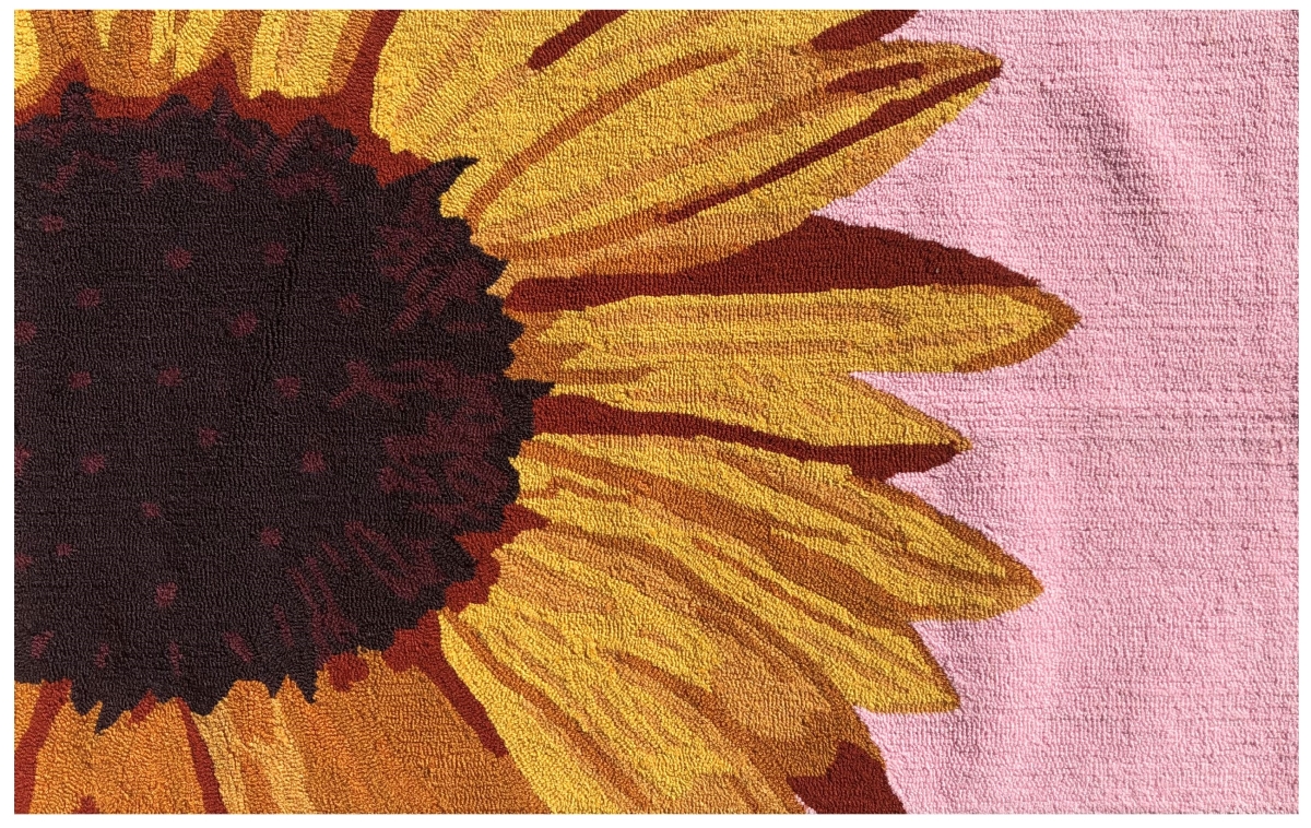 25846B Sunflower Pink Rug Size 30'X48'