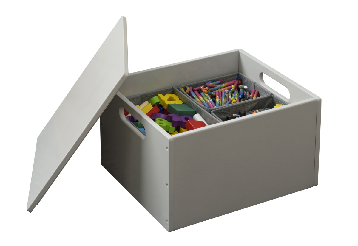 SB-PG The Tidy Books Sorting Box, Pale Grey
