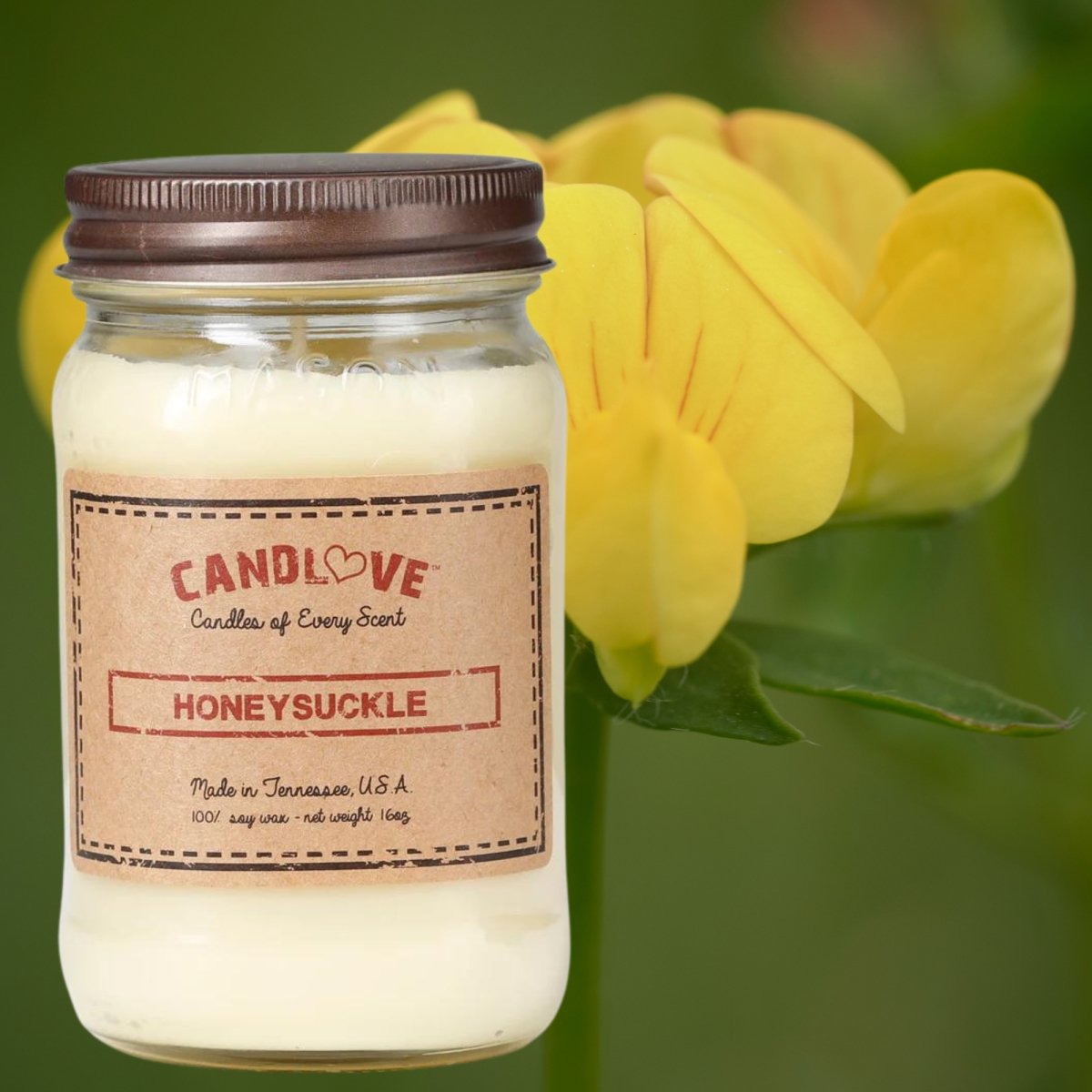 Picture of PPI SUPPLIES Honey-S-C Candlove Honey Suckle Scented Candle - Non-Toxic 100% Soy Candle - Handmade & Hand Poured Long Burning Candle - Highly Scented All Natural Clean Burning Candle (16 OZ Mason Jar) Made in The USA