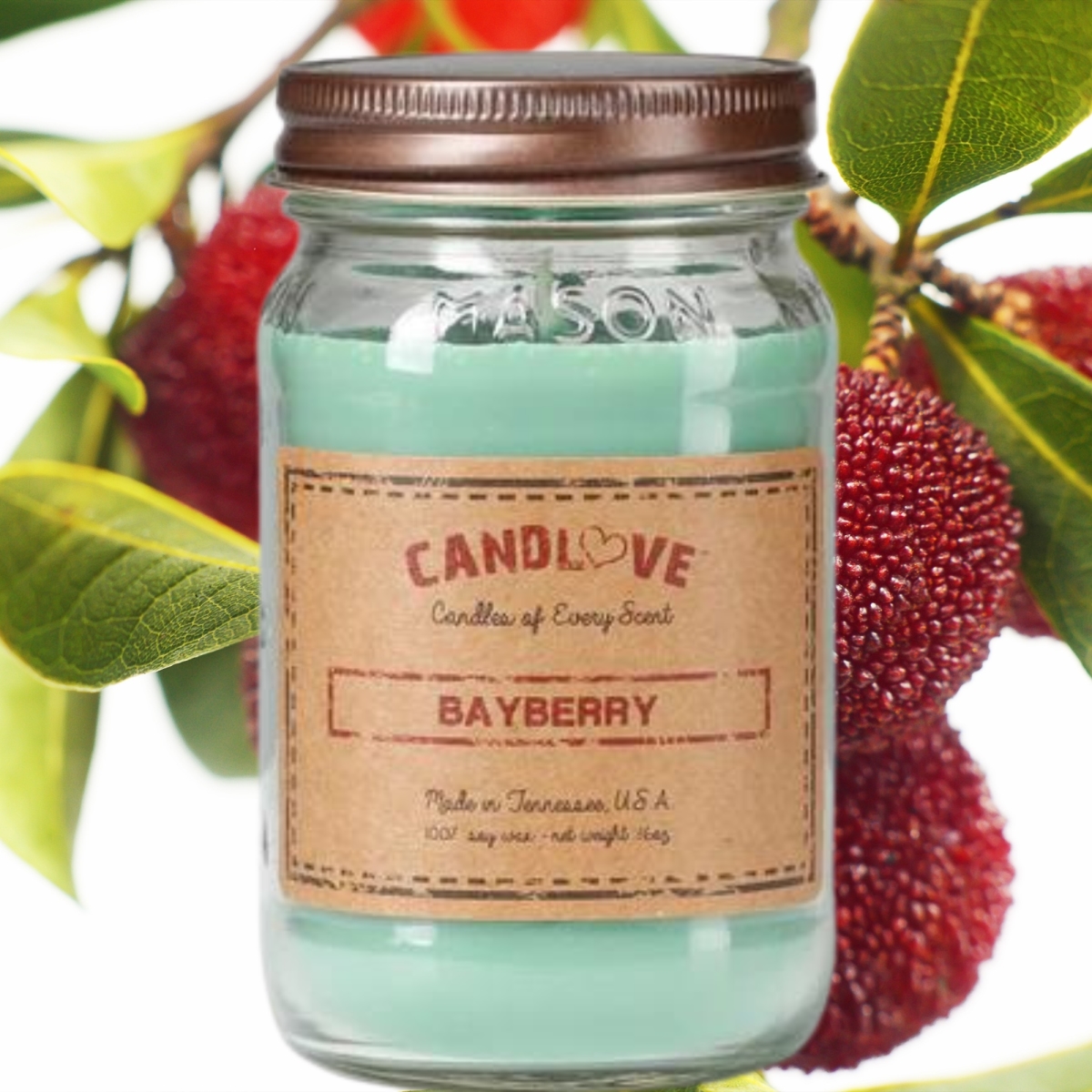 Picture of PPI SUPPLIES Bayberry-C Candlove Bayberry Scented Candle - Non-Toxic 100% Soy Candle - Handmade & Hand Poured Long Burning Candle - Highly Scented All Natural Clean Burning Candle (16 OZ Mason Jar) Made in The USA