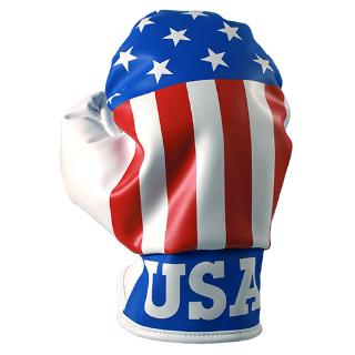 Picture of Proactive Sports HBGUSA Boxing Glove Headcover