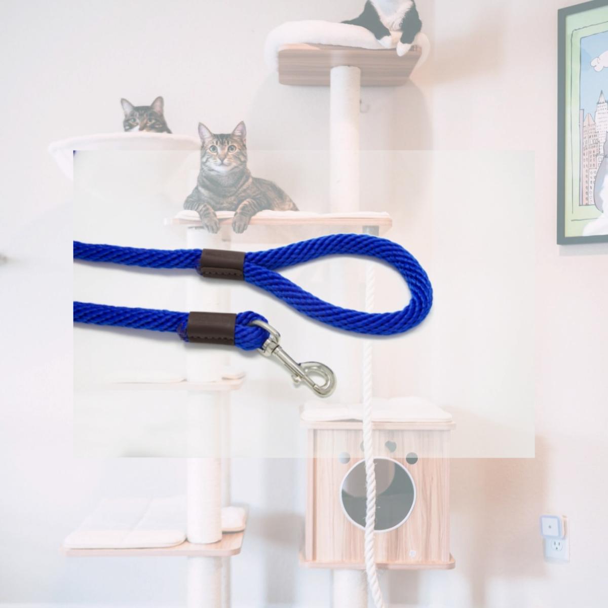 Picture of Purple Pebble LZ586BL 6 ft. x 0.62 in. Leedz Super Thick Blue Leash