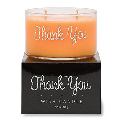 Picture of Primal Elements WCTY Thank You Wish Candle&#44; 9.5 oz.
