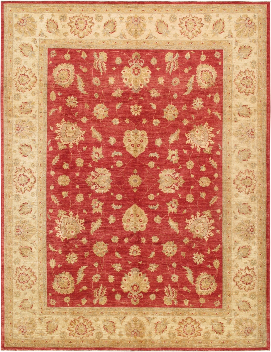 Denver Hand-Knotted Rust Lamb's Wool Area Rug 8 ft.10 in. X 11 ft. 8 in.