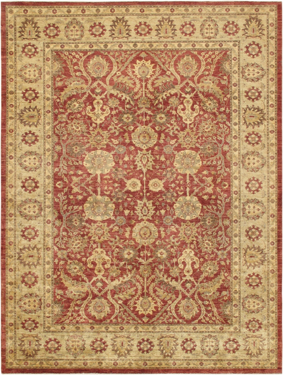 PMG-301 RUST 9X12 Denver Hand-Knotted Rust Lamb's Wool Area Rug- 9 ft. 1 in.  X 12 ft. 0 in.