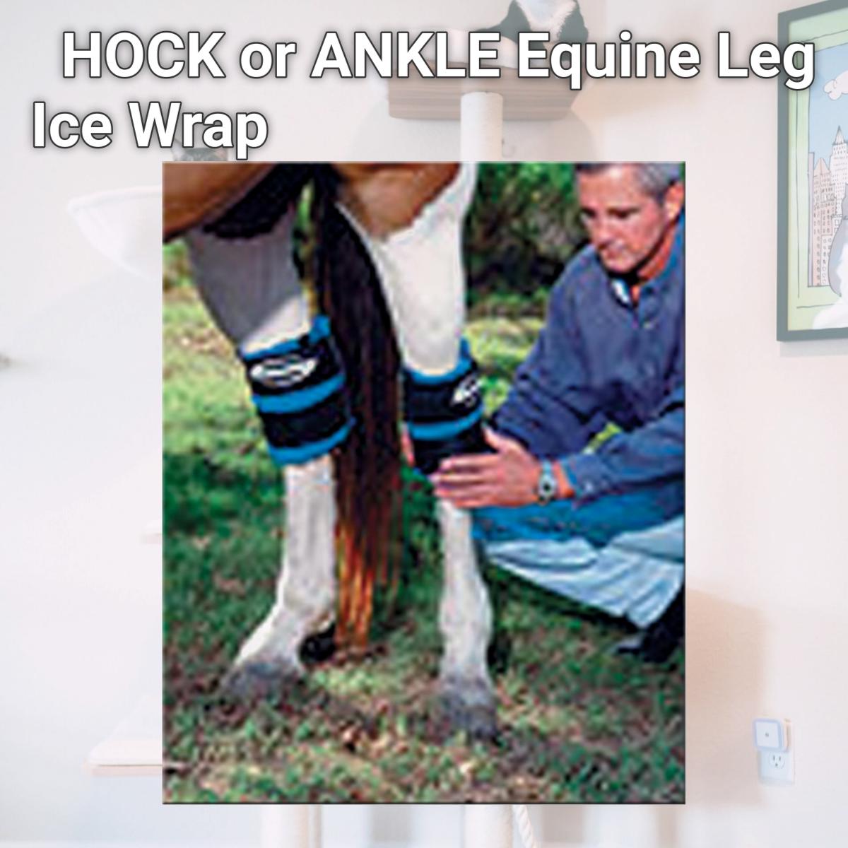 Picture of ProKold DK-105 HOCK or ANKLE Equine Leg Ice Wrap