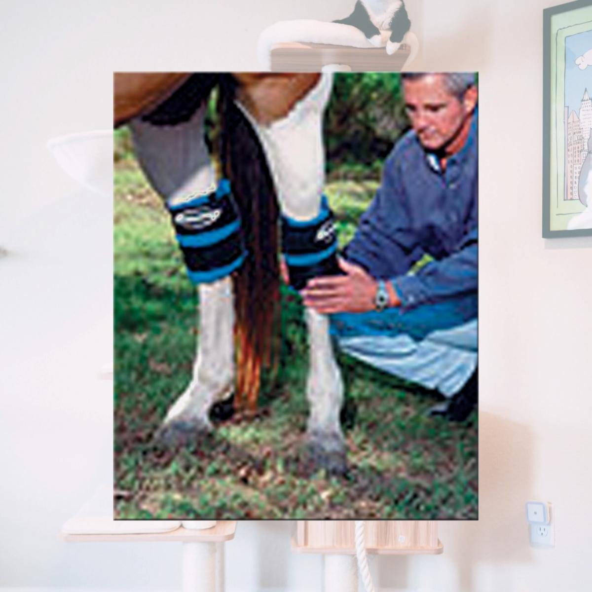Picture of ProKold DK-105 HOCK or ANKLE Equine Leg Ice Wrap