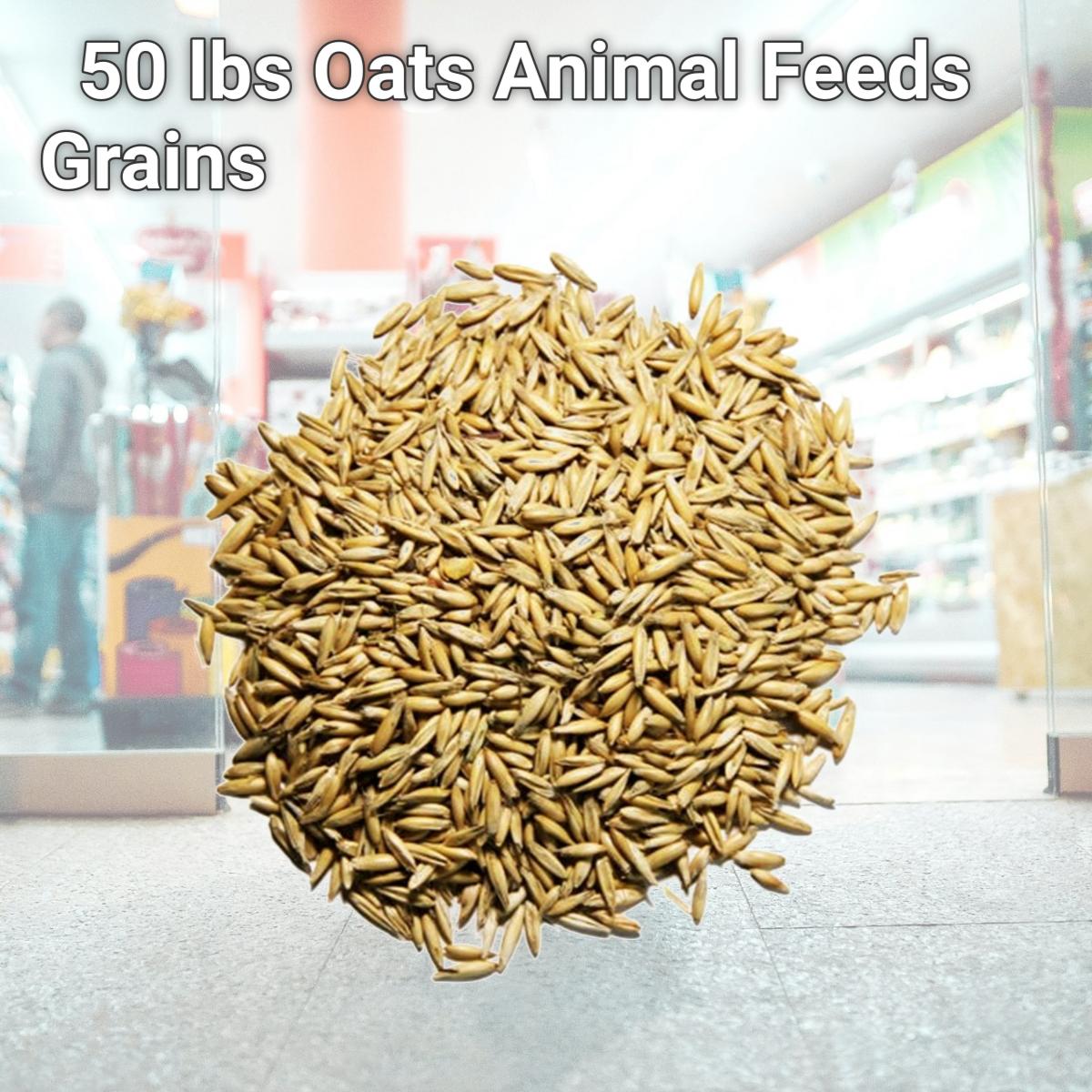 Picture of Prince Premium Feed 001515 50 lbs Oats Animal Feeds Grains