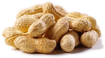 Picture of Natures Select Ingredients 001528 25 lbs Peanuts Raw in Shell for Wild Bird Feed