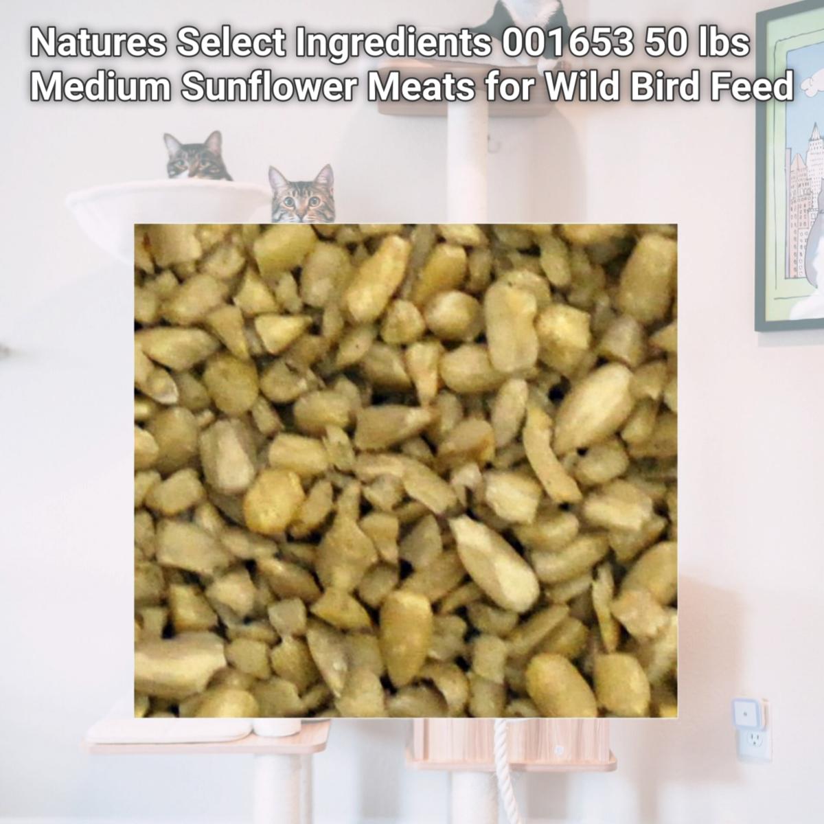 Picture of Natures Select Ingredients 001653 50 lbs Medium Sunflower Meats for Wild Bird Feed