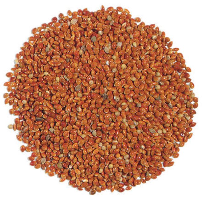 Picture of Natures Select Ingredients 001680 50 lbs Red Millet for Wild Bird Feed