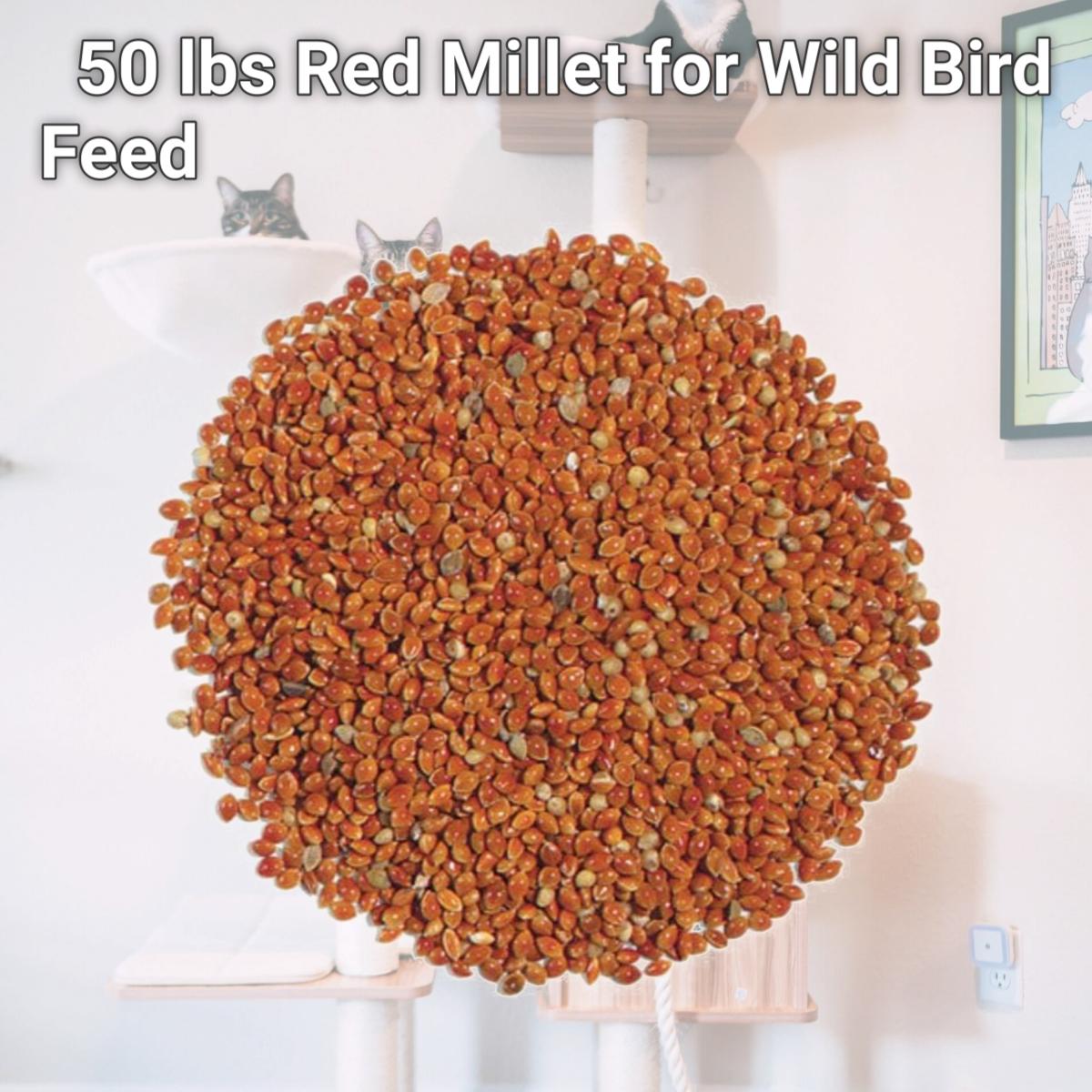 Picture of Natures Select Ingredients 001680 50 lbs Red Millet for Wild Bird Feed