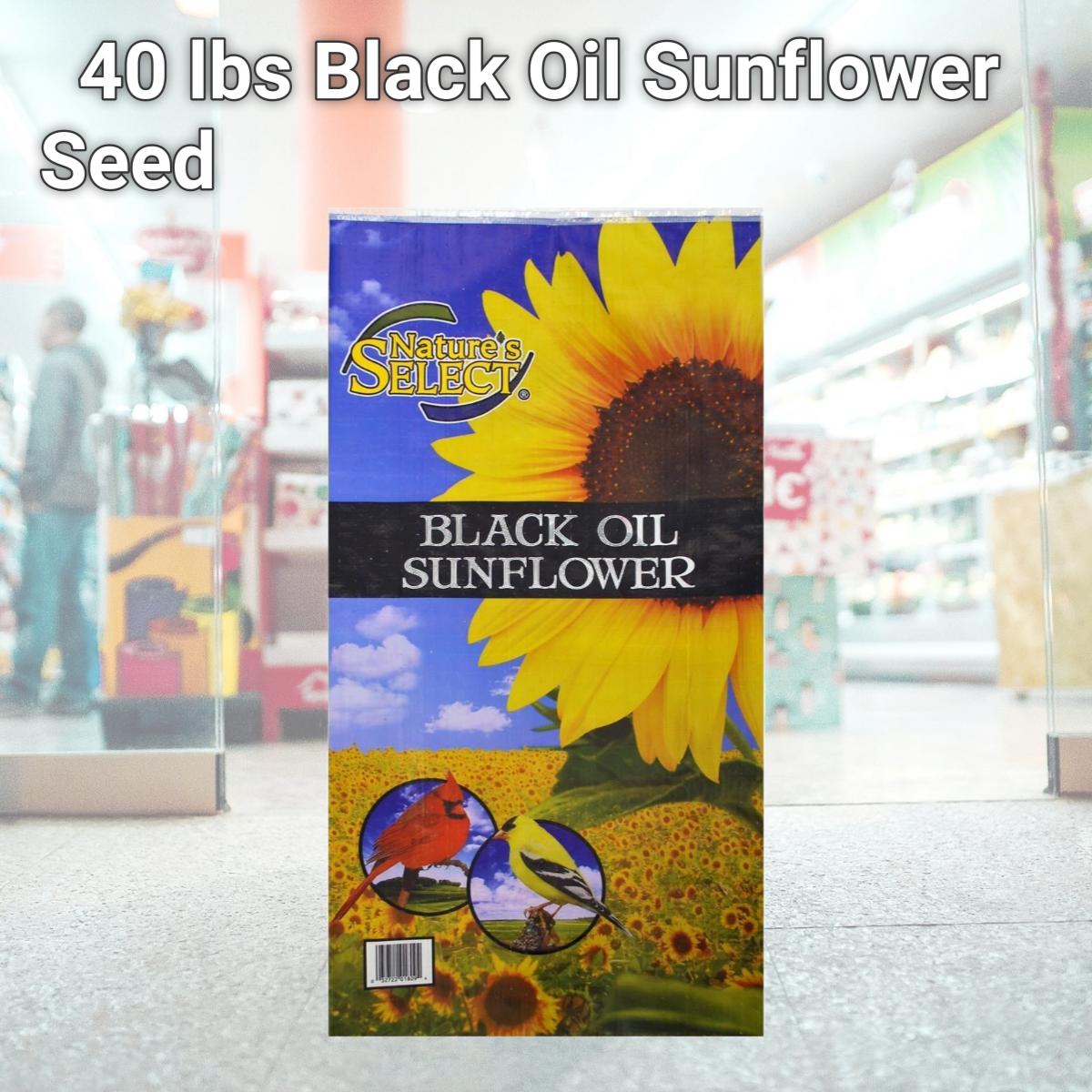Picture of Natures Select Ingredients 001810 40 lbs Black Oil Sunflower Seed