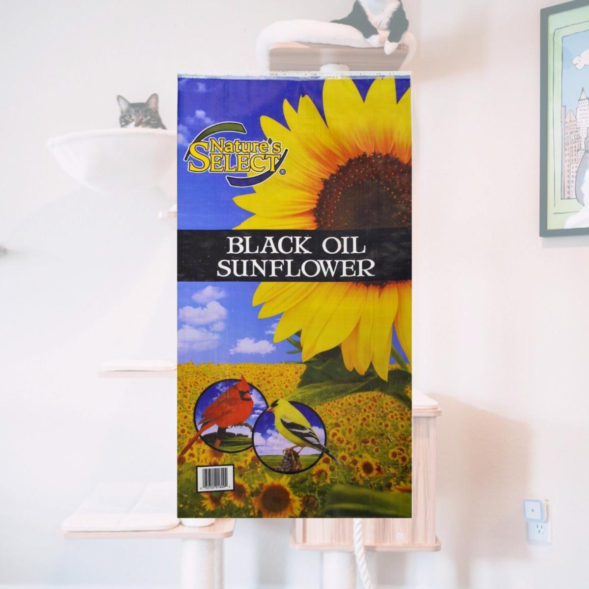 Picture of Natures Select Ingredients 001810 40 lbs Black Oil Sunflower Seed