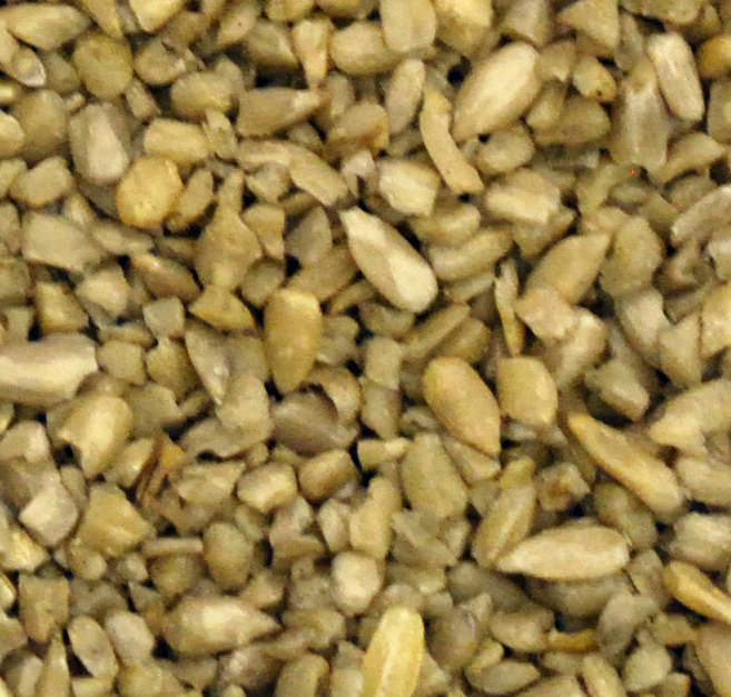 Picture of Natures Select Ingredients 064230 25 lbs Whole Sunflower Meats for Wild Bird Feed