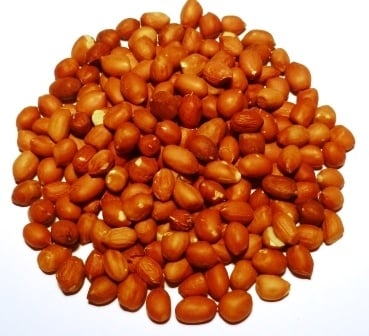 Picture of Natures Select Ingredients 064784 50 lbs Peanut Pickouts Roasted for Wild Bird Feed