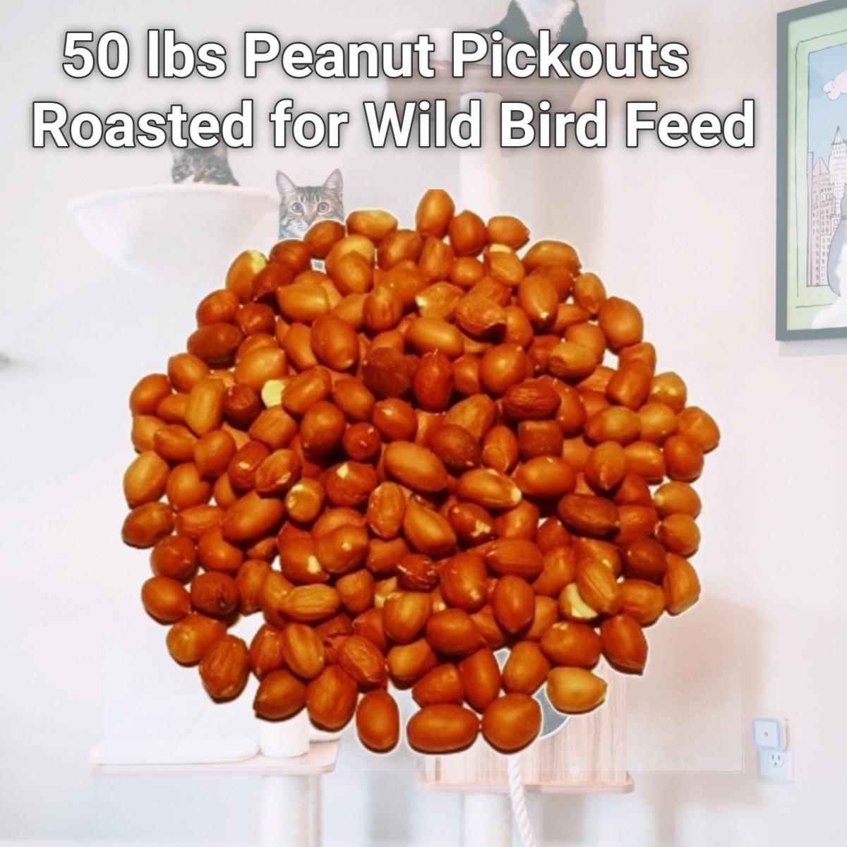 Picture of Natures Select Ingredients 064784 50 lbs Peanut Pickouts Roasted for Wild Bird Feed
