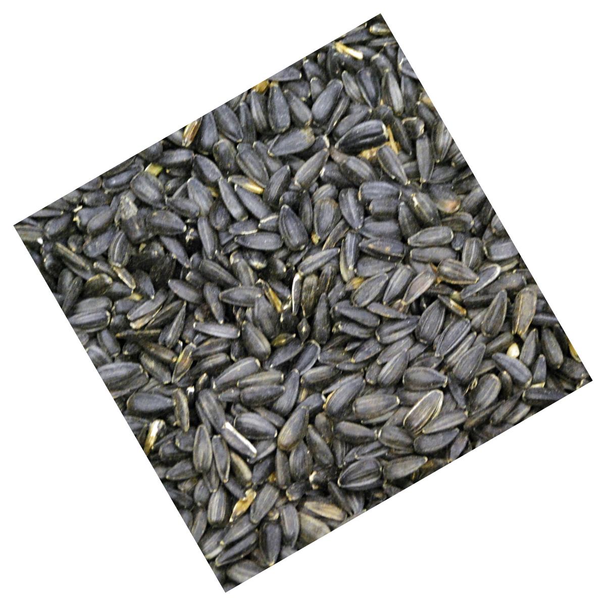 Picture of Prince Wild Bird Seed 111656 50 lbs Black Oil Sunflower for Wild Bird Feed