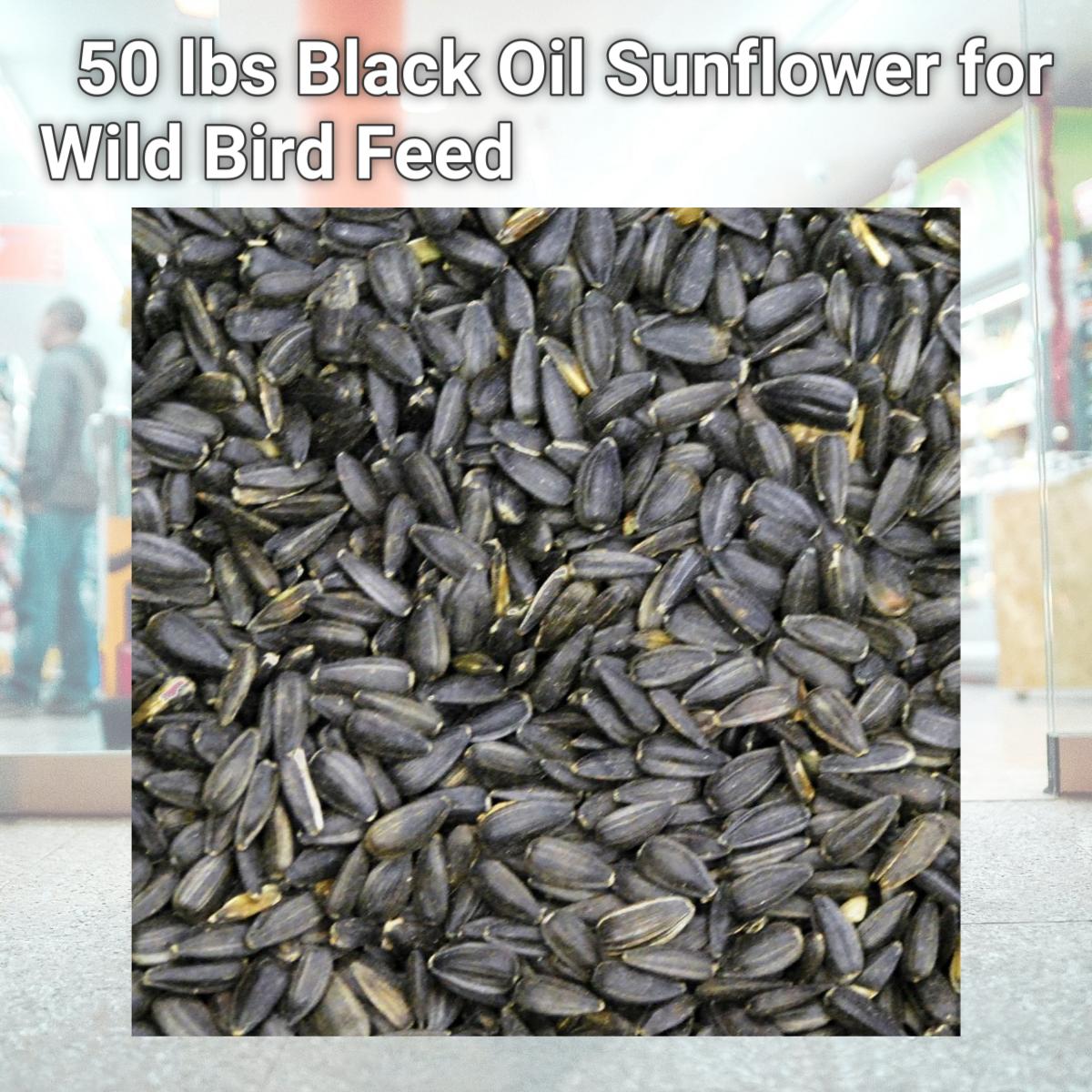 Picture of Prince Wild Bird Seed 111656 50 lbs Black Oil Sunflower for Wild Bird Feed
