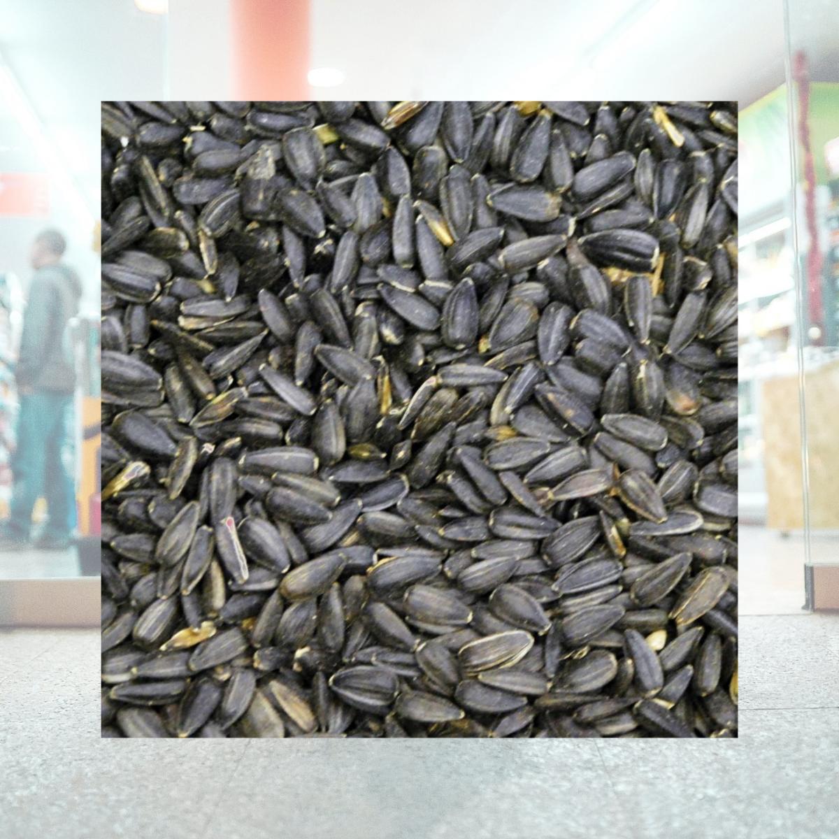Picture of Prince Wild Bird Seed 111656 50 lbs Black Oil Sunflower for Wild Bird Feed